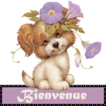 bienvenue